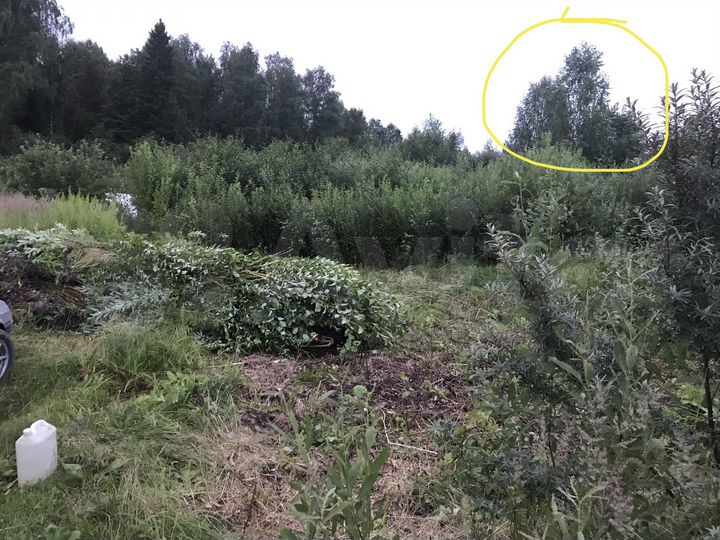 Участок 7,3 сот. (СНТ, ДНП)