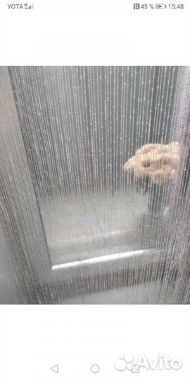 Тюль, Вуаль, дождик