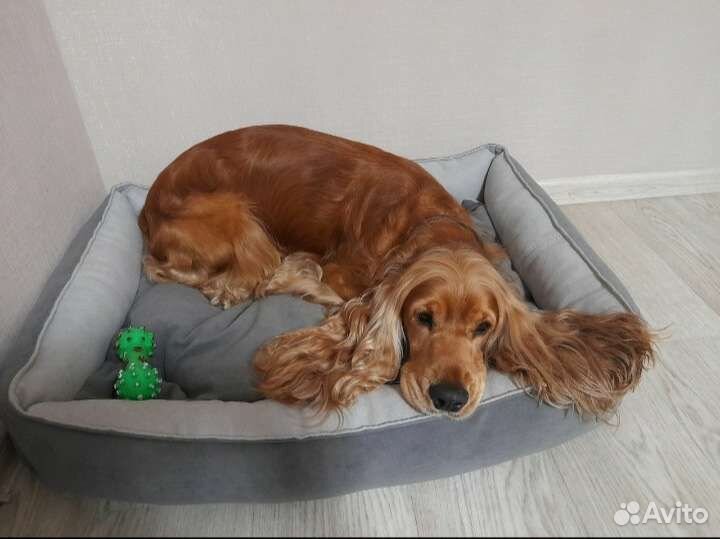 Лежанки для собак и кошек(новые)