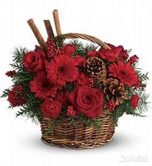 Альстромерии