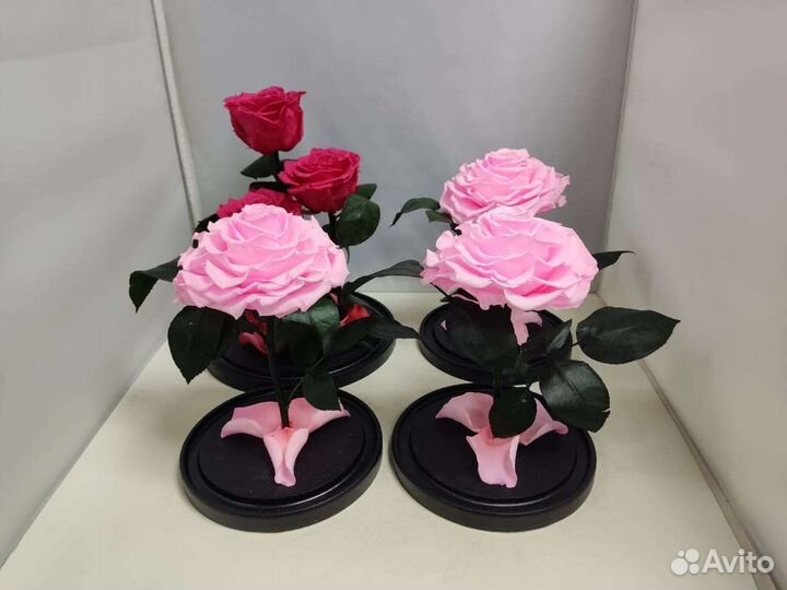 Роза в колбе