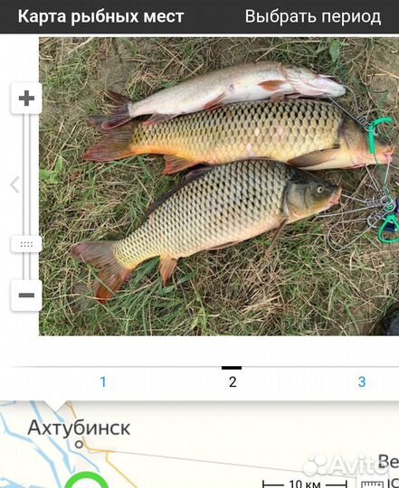 Карта рыбных мест