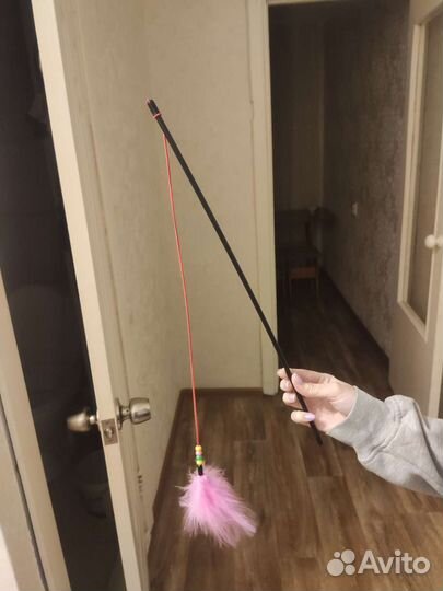 Одежда для кота и кошек