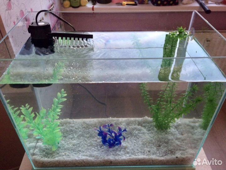 Аквариум