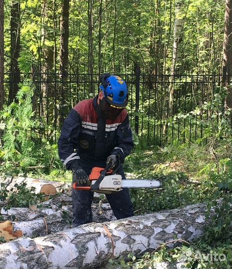 Спил Валка деревьев Обрезка веток Дробление пней