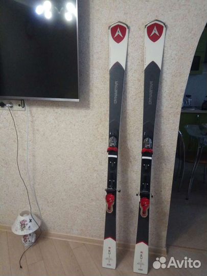 Горные лыжи