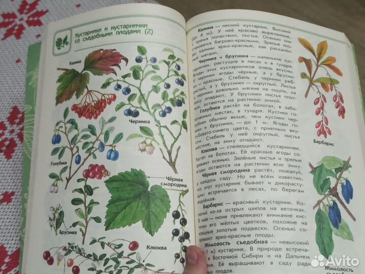 Атлас-определитель От земли до неба А.А. Плешков