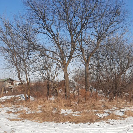 Участок 30 сот. (ИЖС)