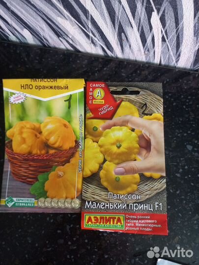 Рассада перца и баклажан