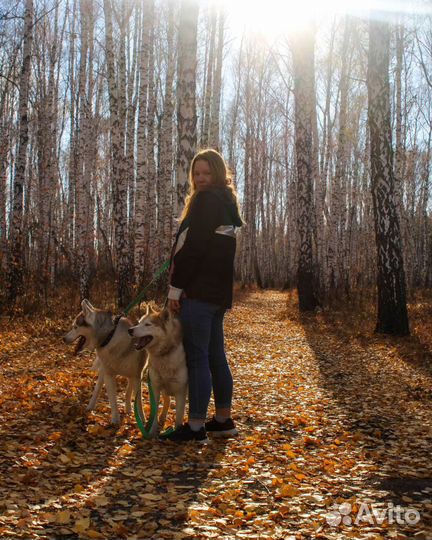 Кинолог,передержка собак, зоогостиница