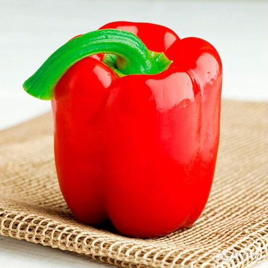 Денвер F1 Clause 1000 семян сладкого перца