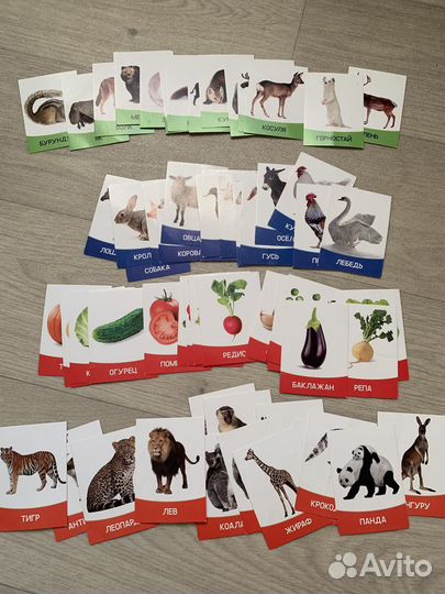 Развивающие карточки для детей