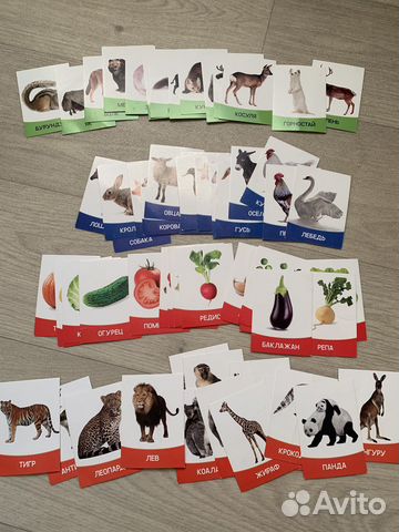 Развивающие карточки для детей