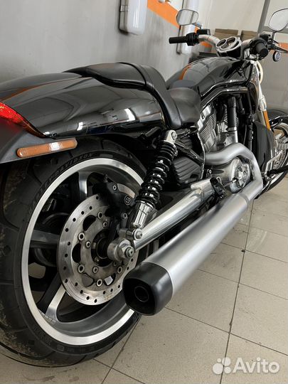 Harley Davidson Vrod Muscle
