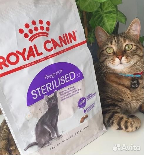 Корм сухой роял канин для кошек Royal Canin для ко