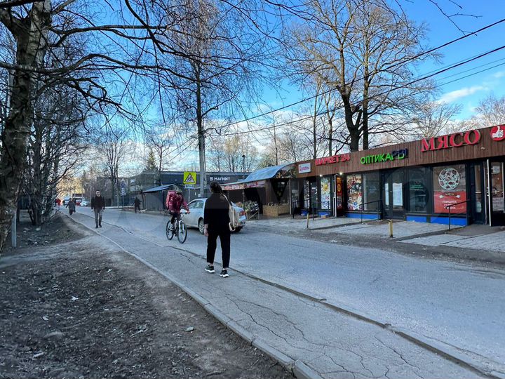 Общепит, 110 м²