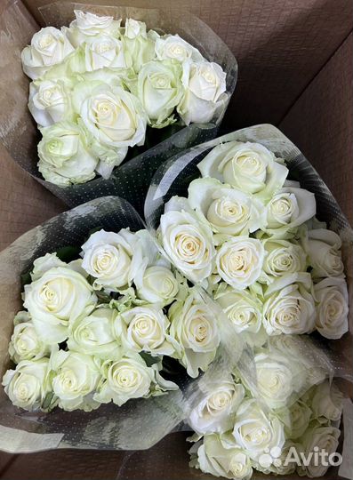 Цветы розы оптом
