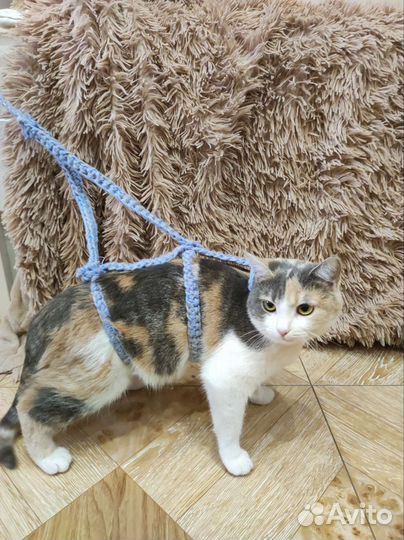 Шлейка для кошки своими руками