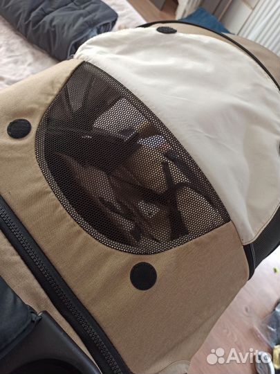 Прогулочная коляска joie litetrax 4