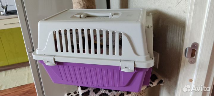 Переноска для кошек пластиковая бу