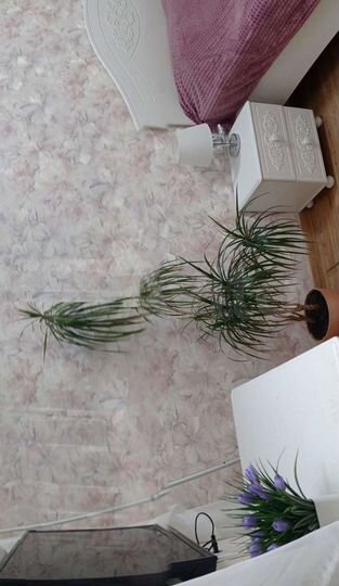 1-к. квартира, 28 м², 2/2 эт.