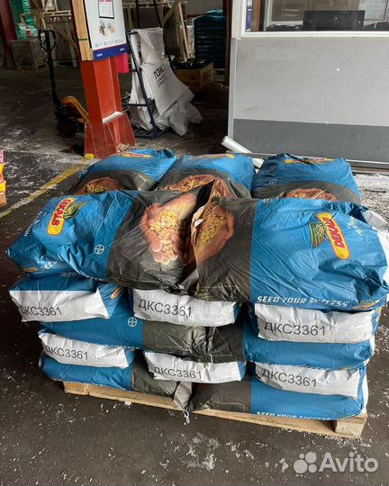 Пионер пр 63ле 10 экспресс гибрид подсолнечника