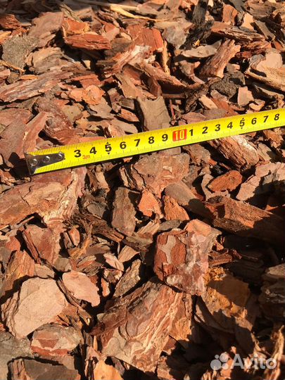 Кора сосновая