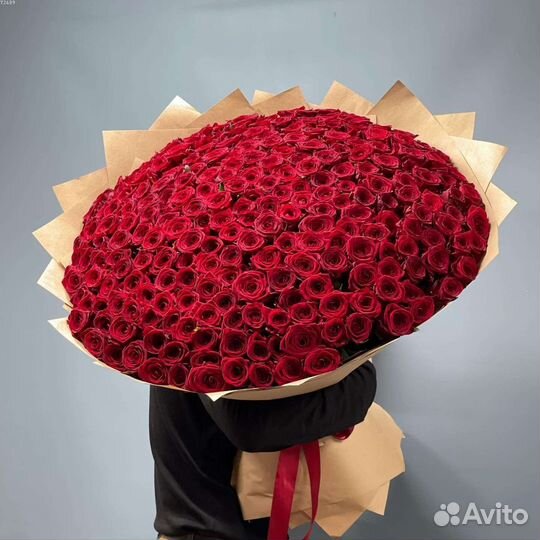 Красные розы. Цветы розы оптом. Букет из роз