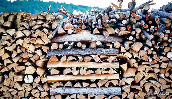 Лиственные дрова