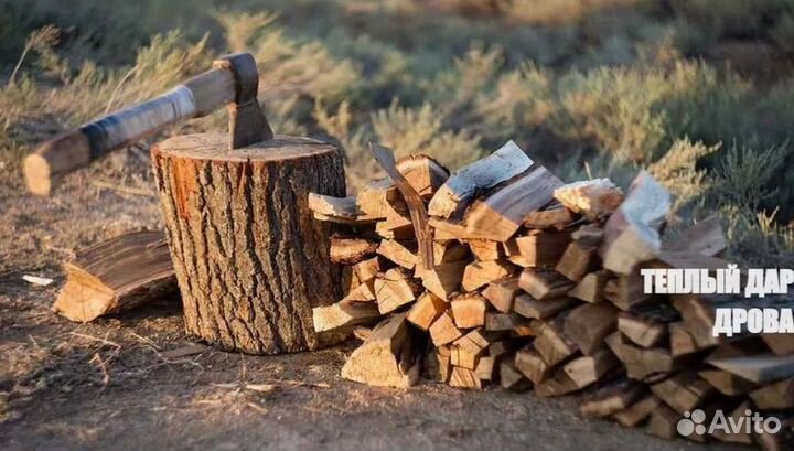 Дрова