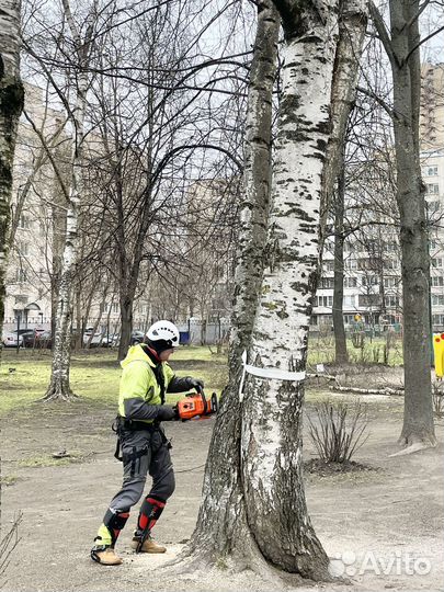 Спил деревьев, обрезка веток. Удаление пней