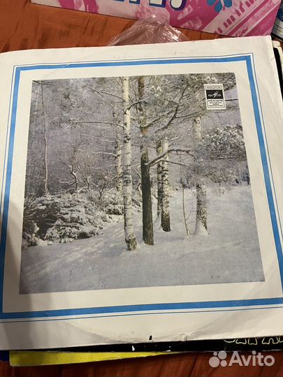 Виниловые пластинки