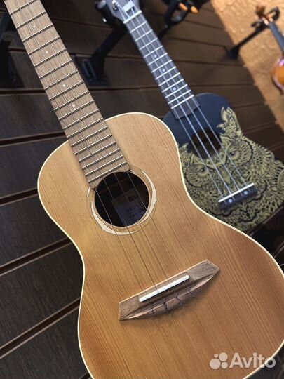 Укулеле концерт Poni