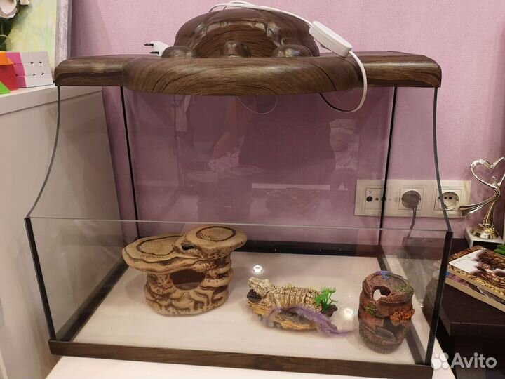 Акватеррариум для черепахи