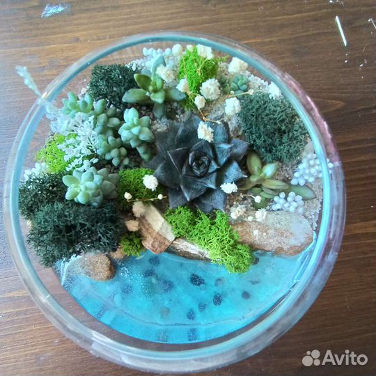 Флорариум. Живые цветы