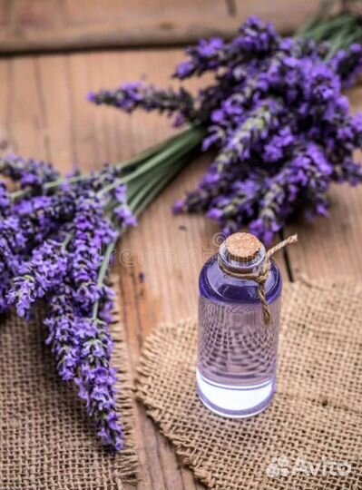 Эфирное масло лаванды