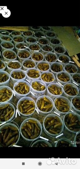 Огурцы соленые бочковые