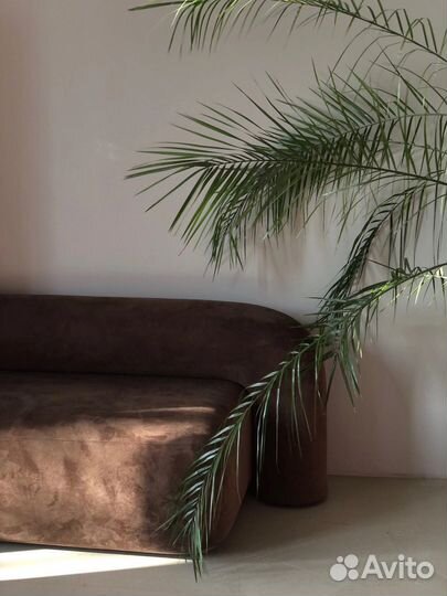 Аренда студии для фотосессии