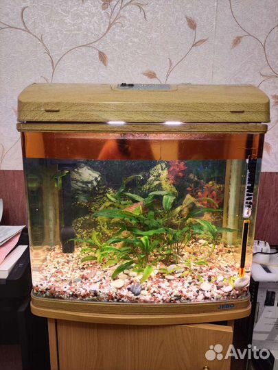 Аквариум Jebo R352