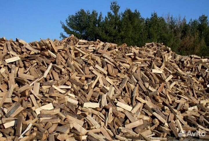 Дрова для камина
