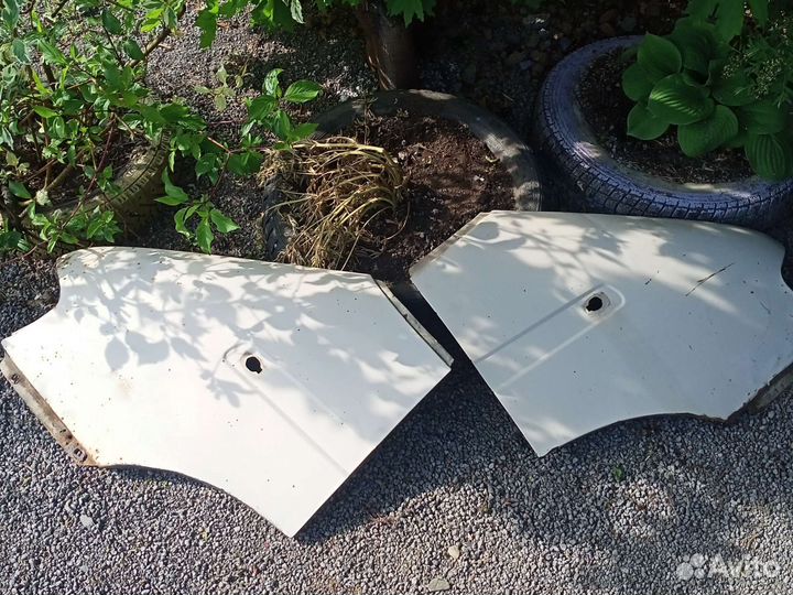 Крылья передние