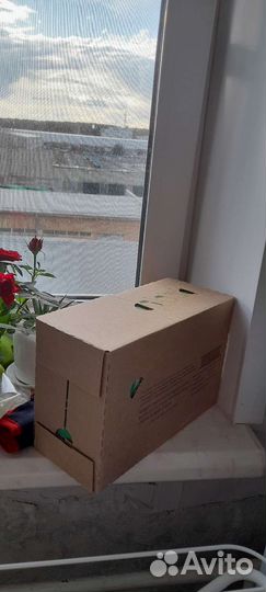 Детская смесь nestogen 1