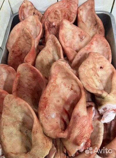 Мясо корм собакам говядина субпродукты обрезь