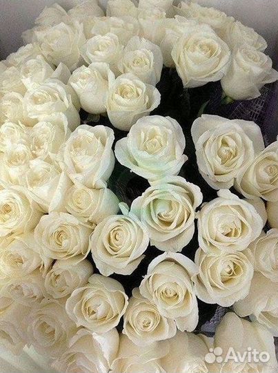 Высокие розы Букеты с доставкой