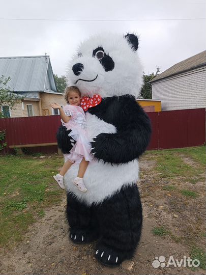 Поздравление бурого медведя