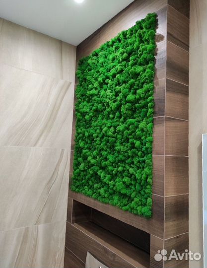Панно. Декор. Стабилизированный мох
