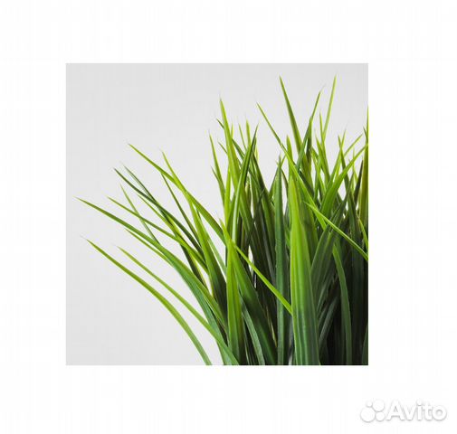 Декоративная травка Икеа Фейка