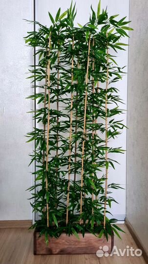 Изгородь бамбук, перегородка, стена из зелени