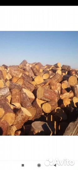 Продам дрова чурками сухие