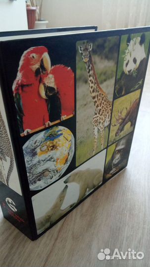 Энциклопедия 